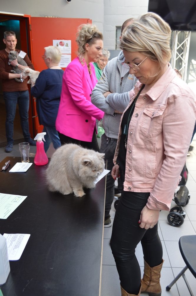 Putte 07-04-2024 foto 45