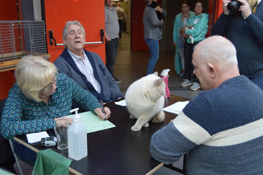 Putte 07-04-2024 foto 53