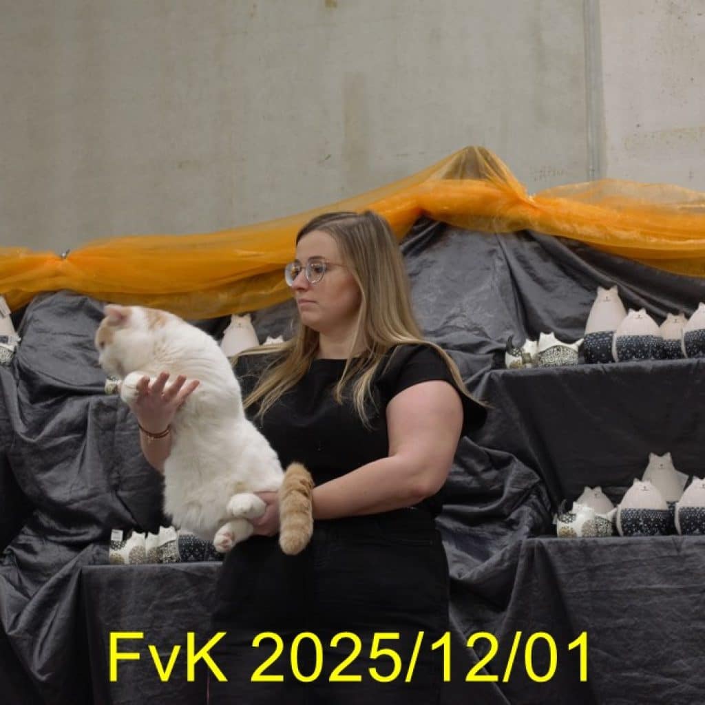 Putte 12-01-2025 foto 3