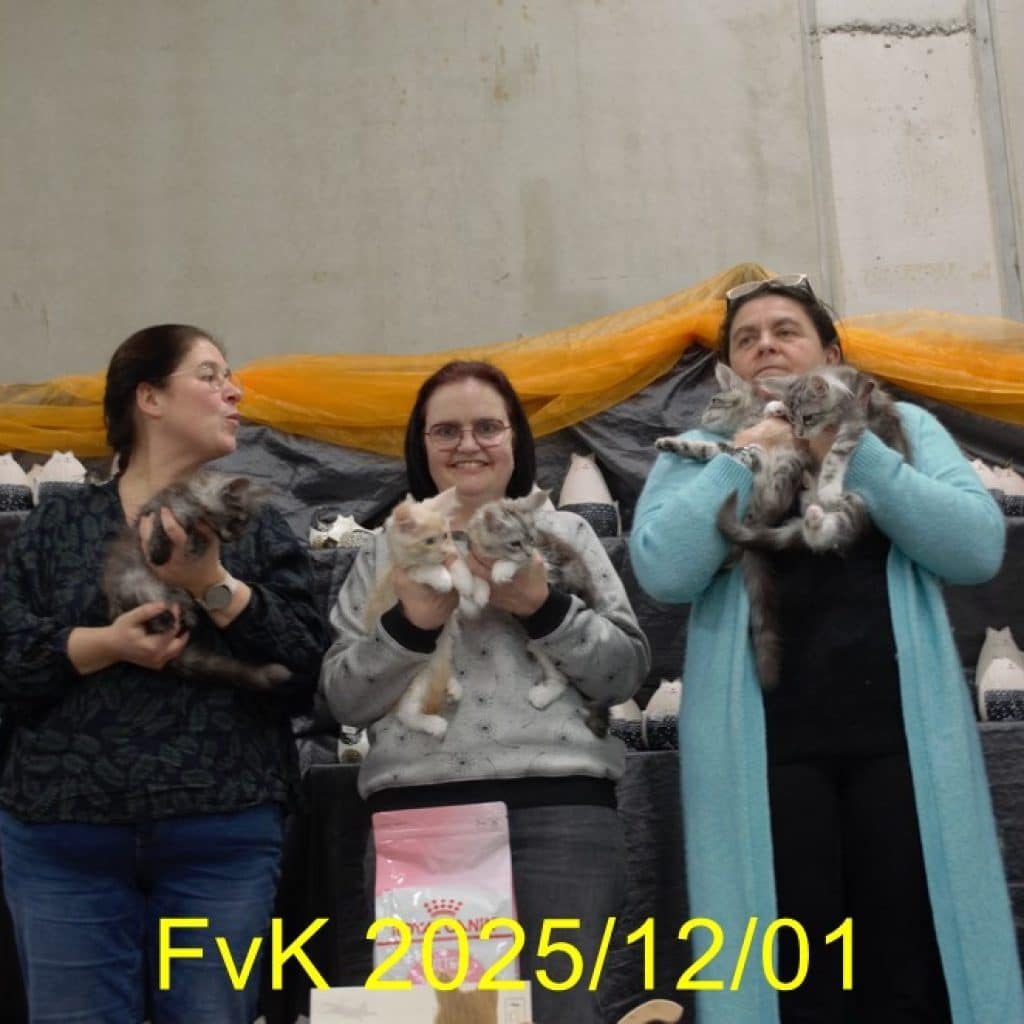Putte 12-01-2025 foto 15