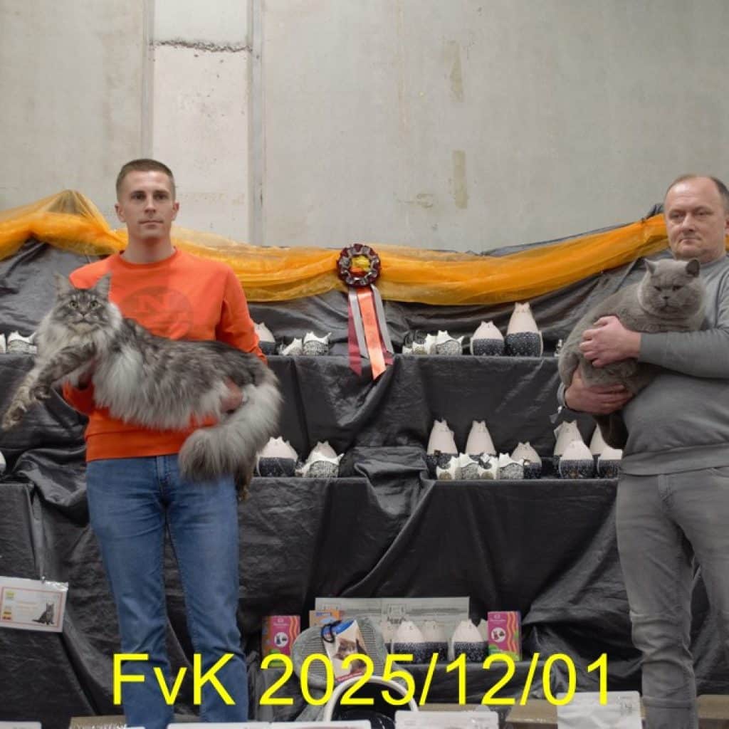 Putte 12-01-2025 foto 18